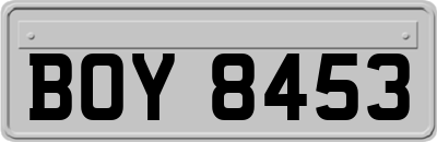 BOY8453