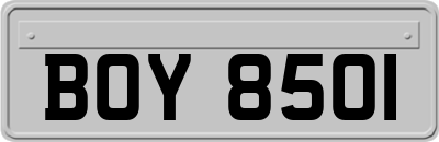 BOY8501