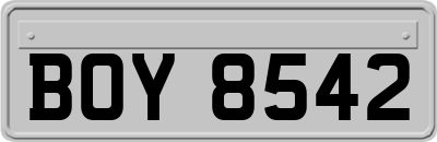 BOY8542