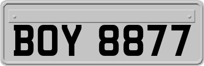 BOY8877