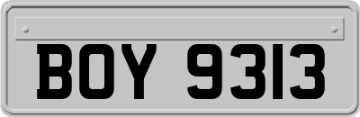 BOY9313