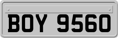BOY9560