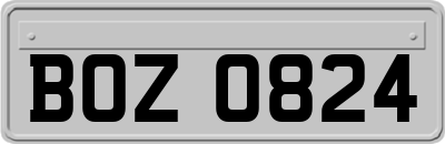 BOZ0824