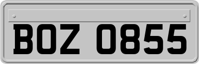 BOZ0855