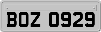 BOZ0929