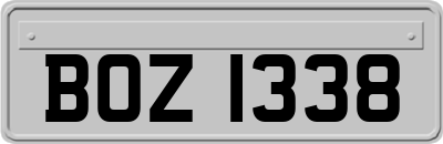 BOZ1338
