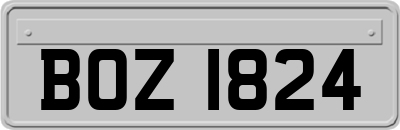 BOZ1824