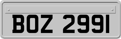 BOZ2991