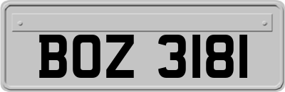 BOZ3181