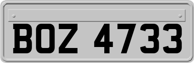 BOZ4733