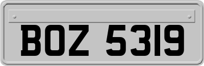 BOZ5319