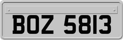 BOZ5813
