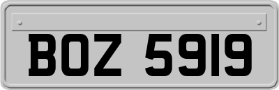 BOZ5919