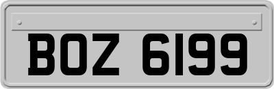 BOZ6199