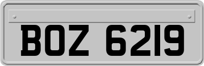 BOZ6219