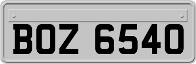 BOZ6540