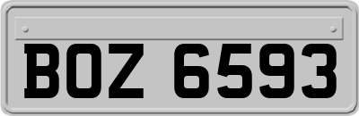 BOZ6593