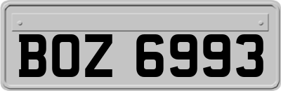 BOZ6993