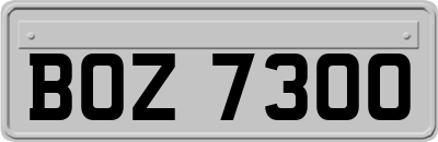 BOZ7300