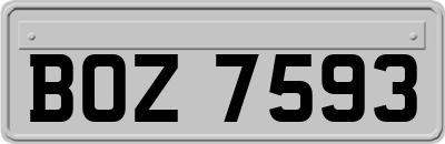 BOZ7593