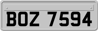 BOZ7594