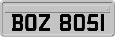 BOZ8051
