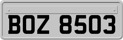 BOZ8503