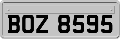 BOZ8595