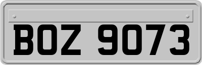 BOZ9073