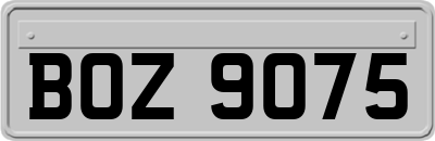 BOZ9075