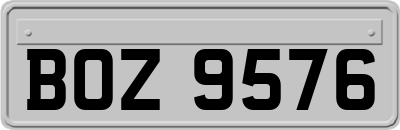 BOZ9576