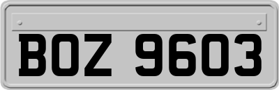 BOZ9603