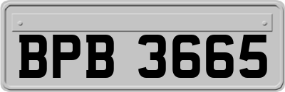 BPB3665
