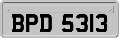 BPD5313