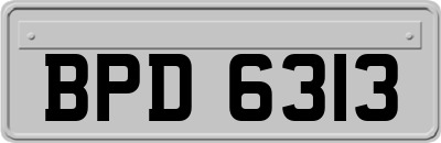 BPD6313
