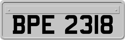 BPE2318