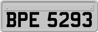 BPE5293