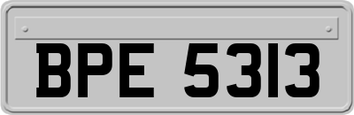 BPE5313