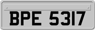 BPE5317