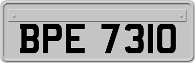 BPE7310