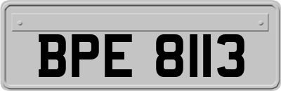 BPE8113