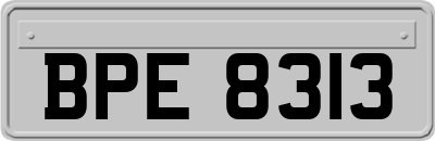 BPE8313