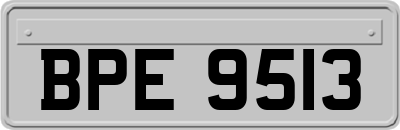 BPE9513