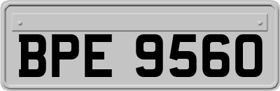 BPE9560