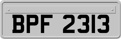 BPF2313