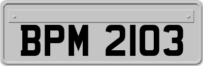 BPM2103