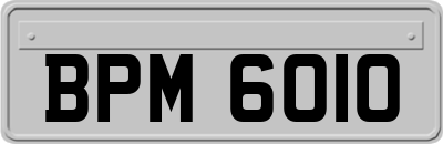 BPM6010