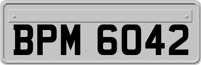 BPM6042