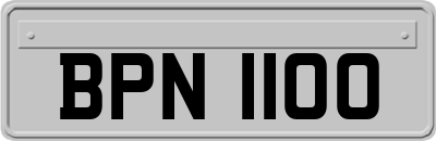 BPN1100