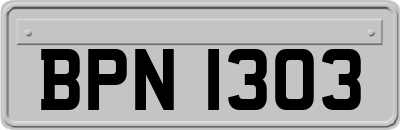 BPN1303